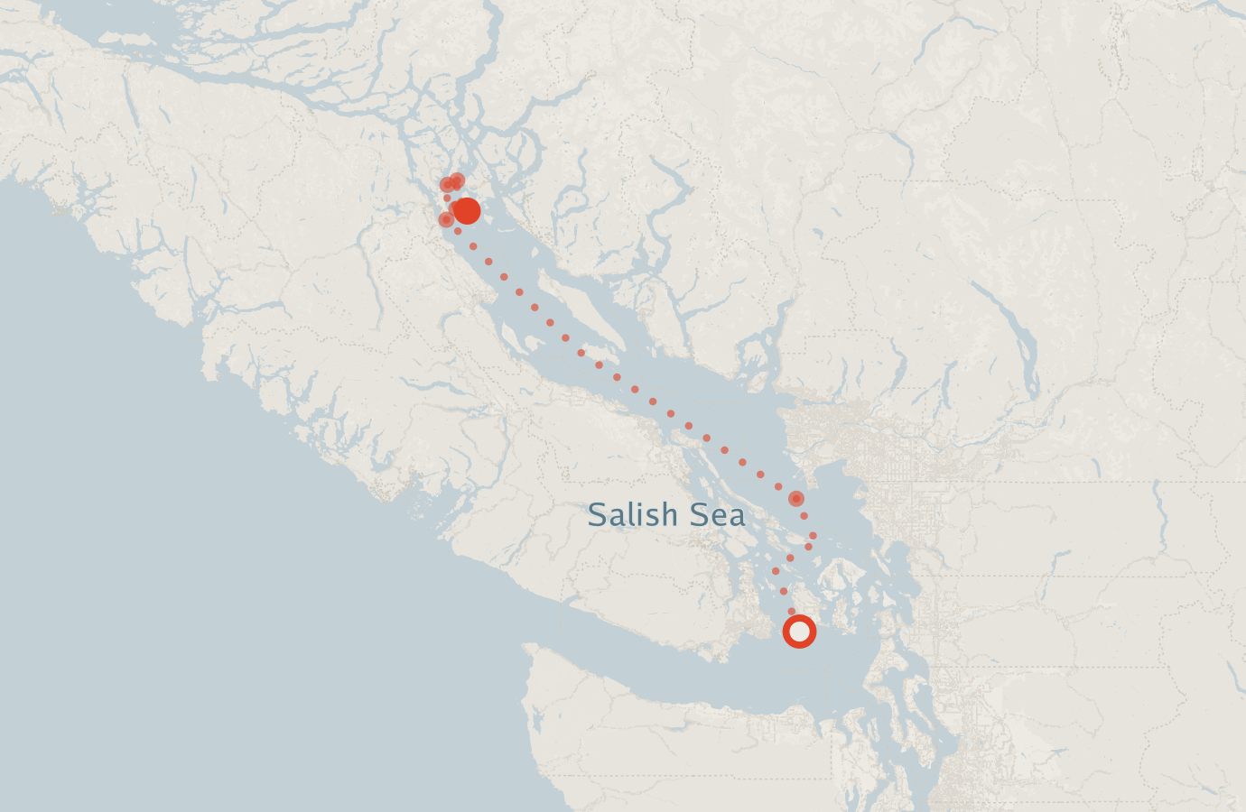 Activity map — real sighting points on an OpenStreetMap basemap