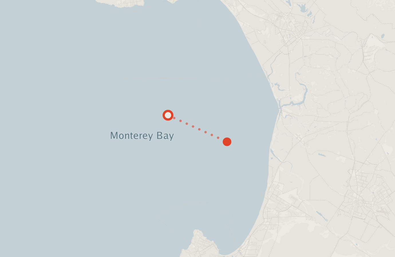 Activity map — real sighting points on an OpenStreetMap basemap