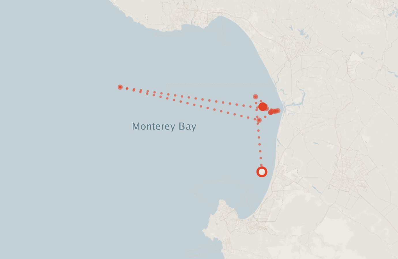 Activity map — real sighting points on an OpenStreetMap basemap