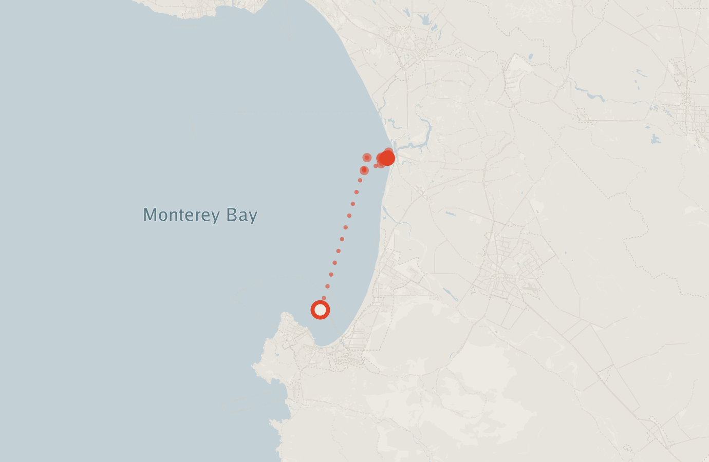 Activity map — real sighting points on an OpenStreetMap basemap