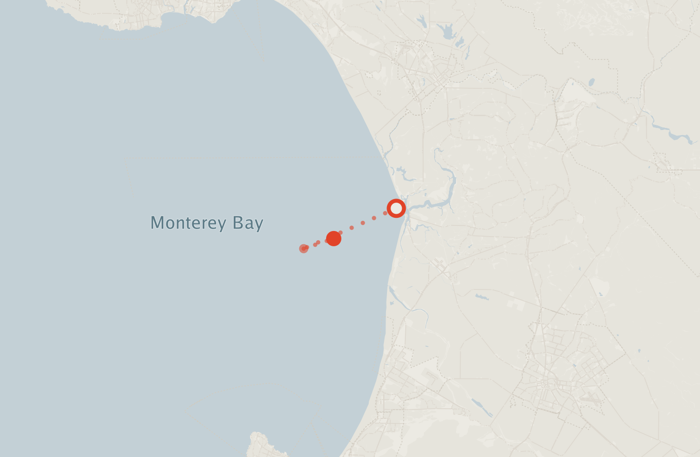 Activity map — real sighting points on an OpenStreetMap basemap
