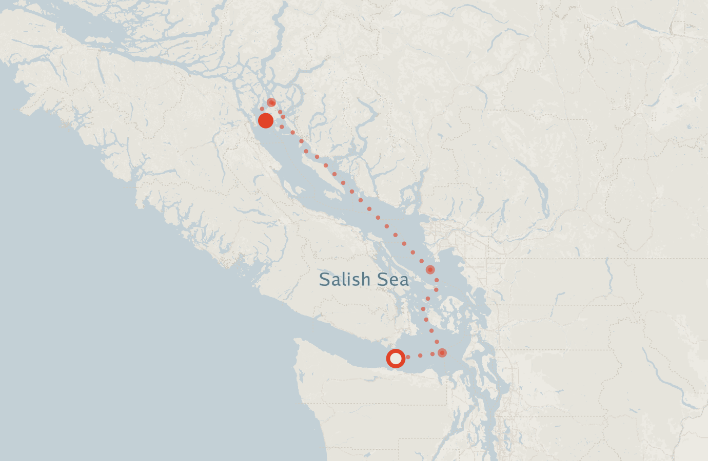 Activity map — real sighting points on an OpenStreetMap basemap