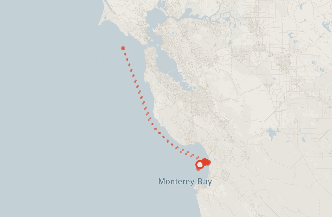 Activity map — real sighting points on an OpenStreetMap basemap