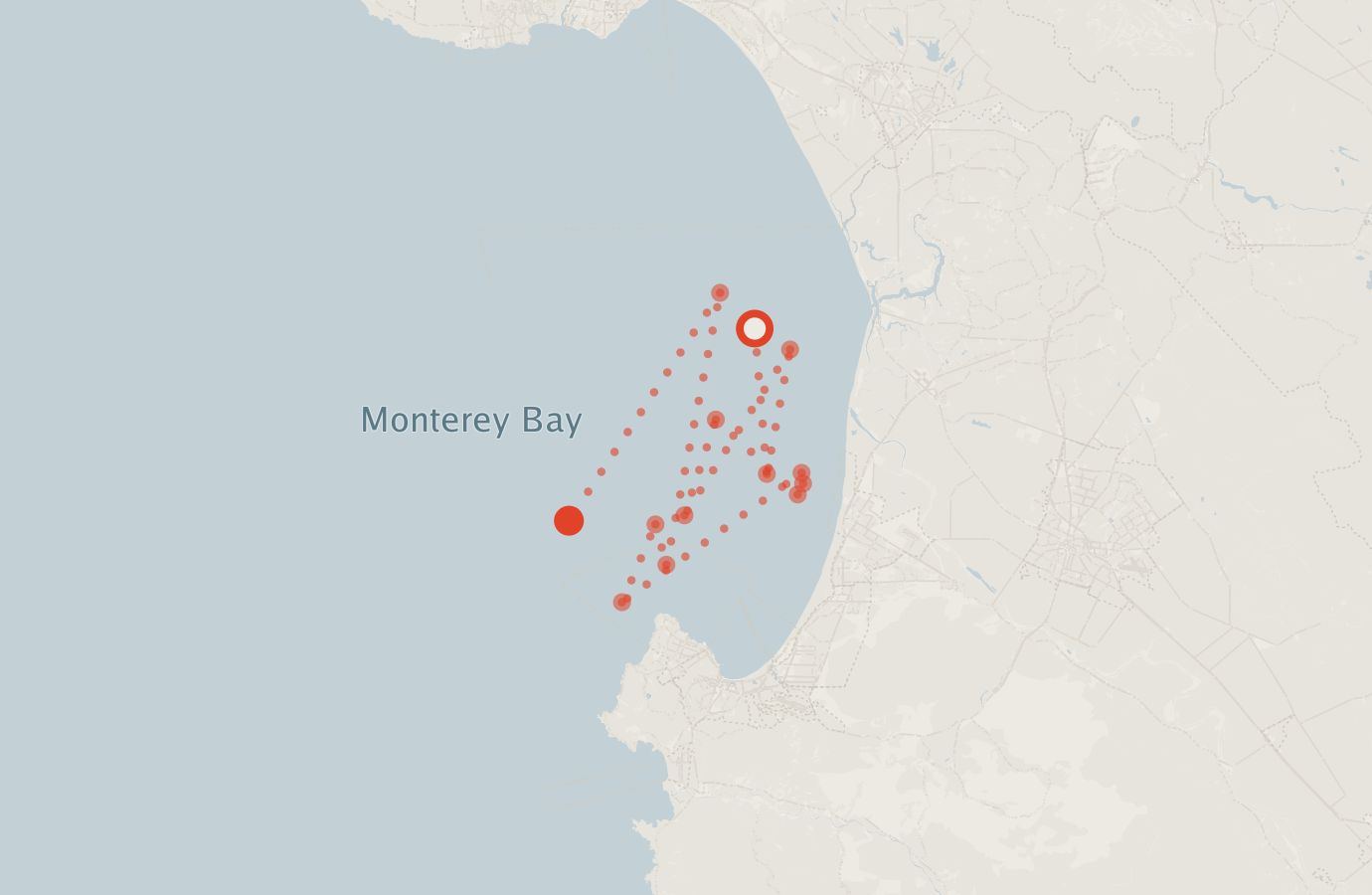 Activity map — real sighting points on an OpenStreetMap basemap