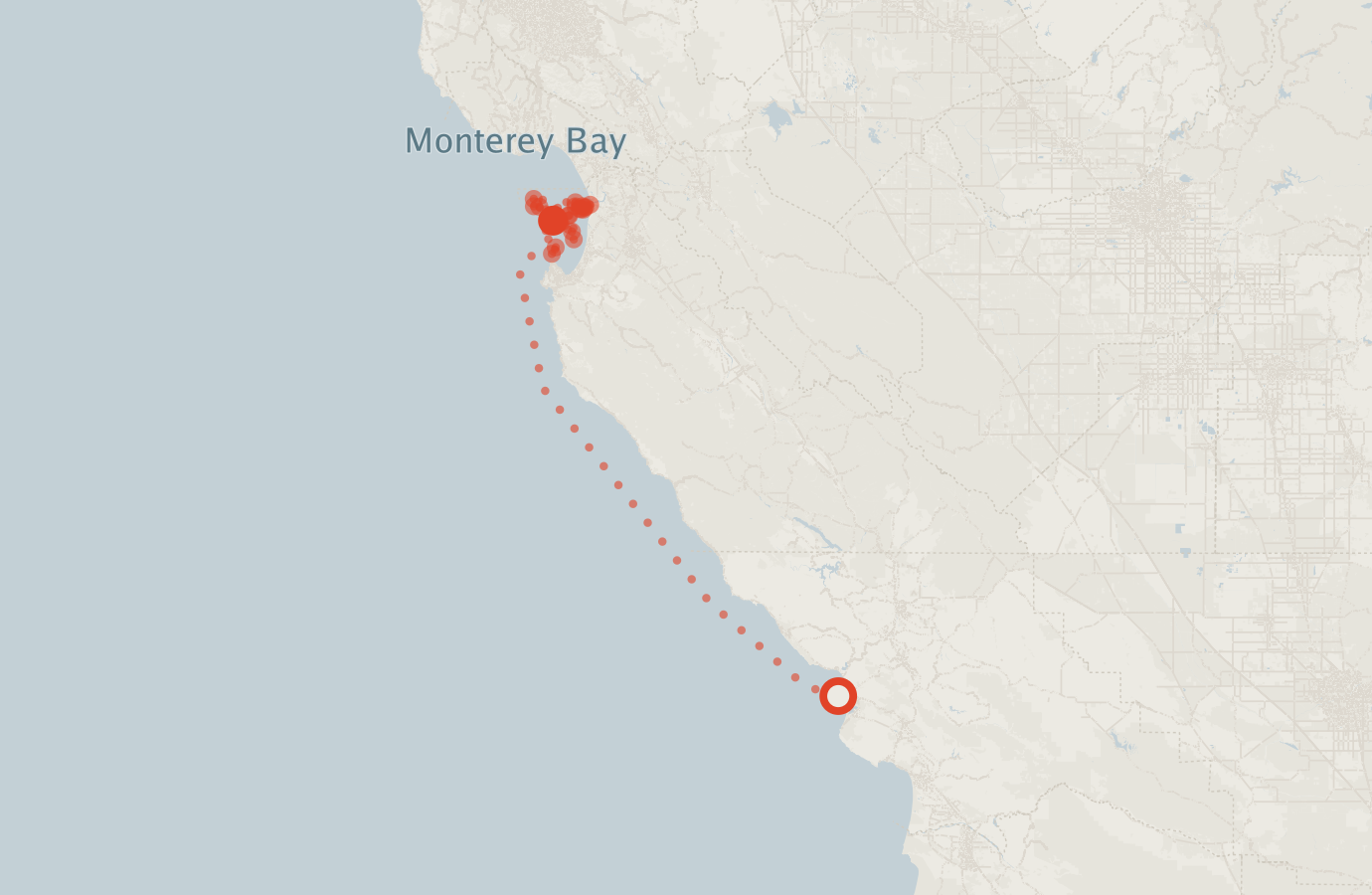 Activity map — real sighting points on an OpenStreetMap basemap