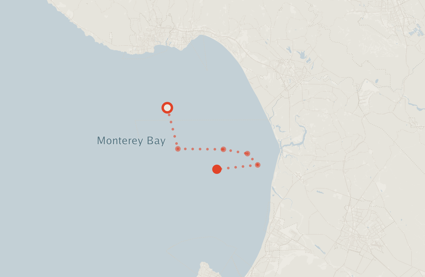 Activity map — real sighting points on an OpenStreetMap basemap
