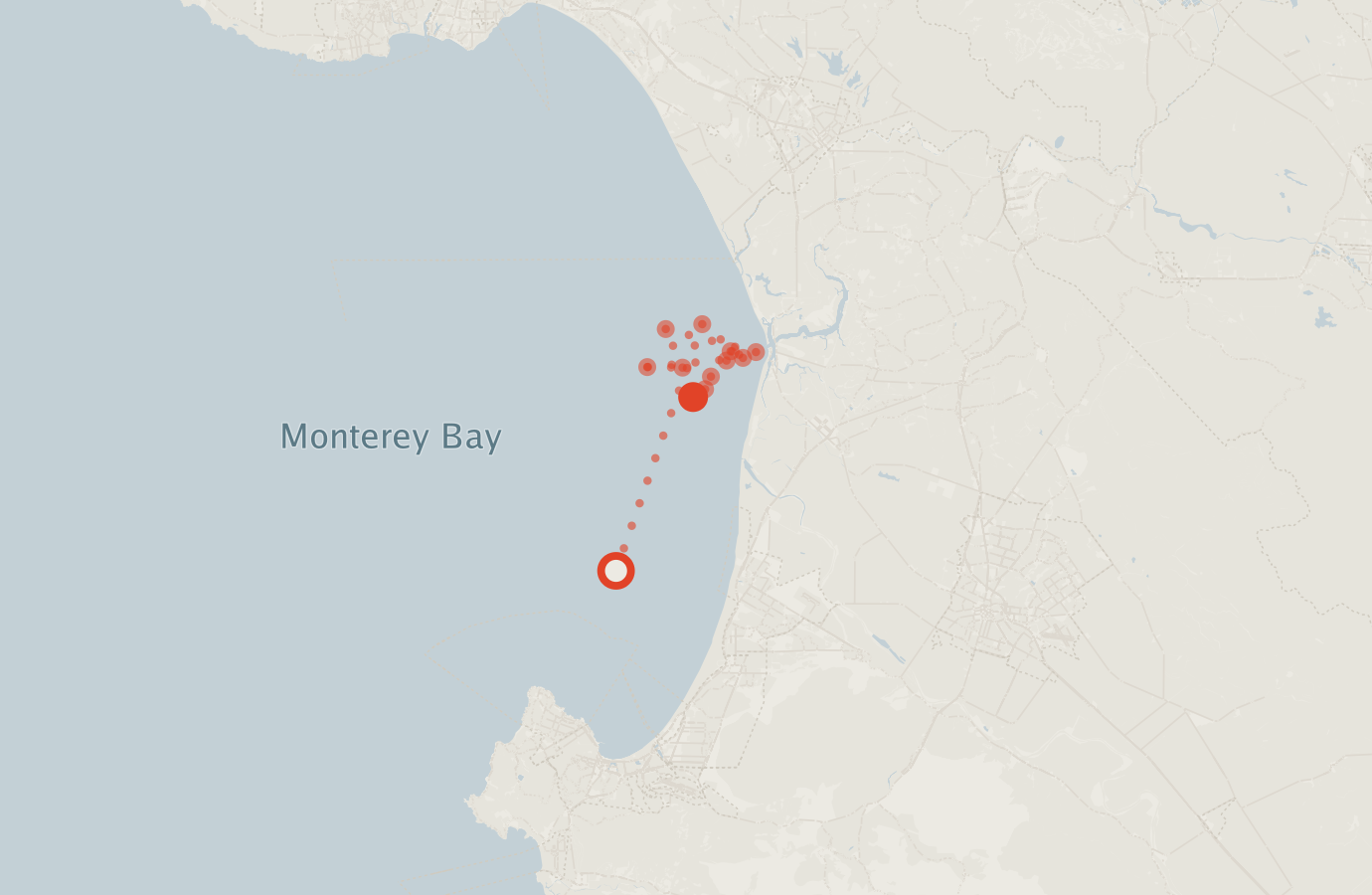 Activity map — real sighting points on an OpenStreetMap basemap