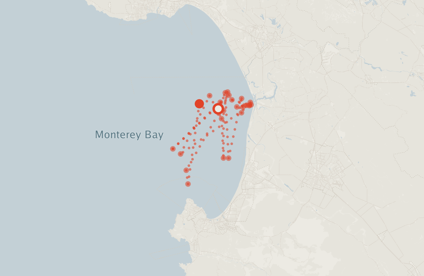 Activity map — real sighting points on an OpenStreetMap basemap