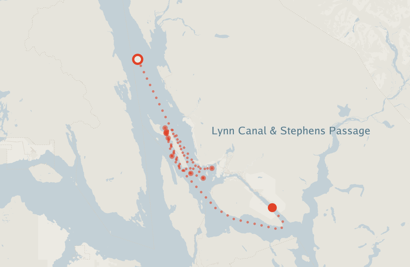 Activity map — real sighting points on an OpenStreetMap basemap