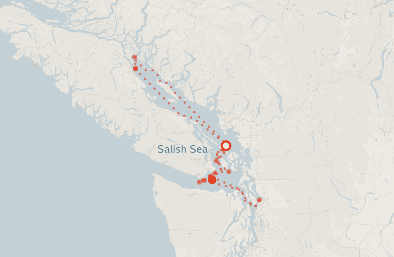 Activity map — real sighting points on an OpenStreetMap basemap