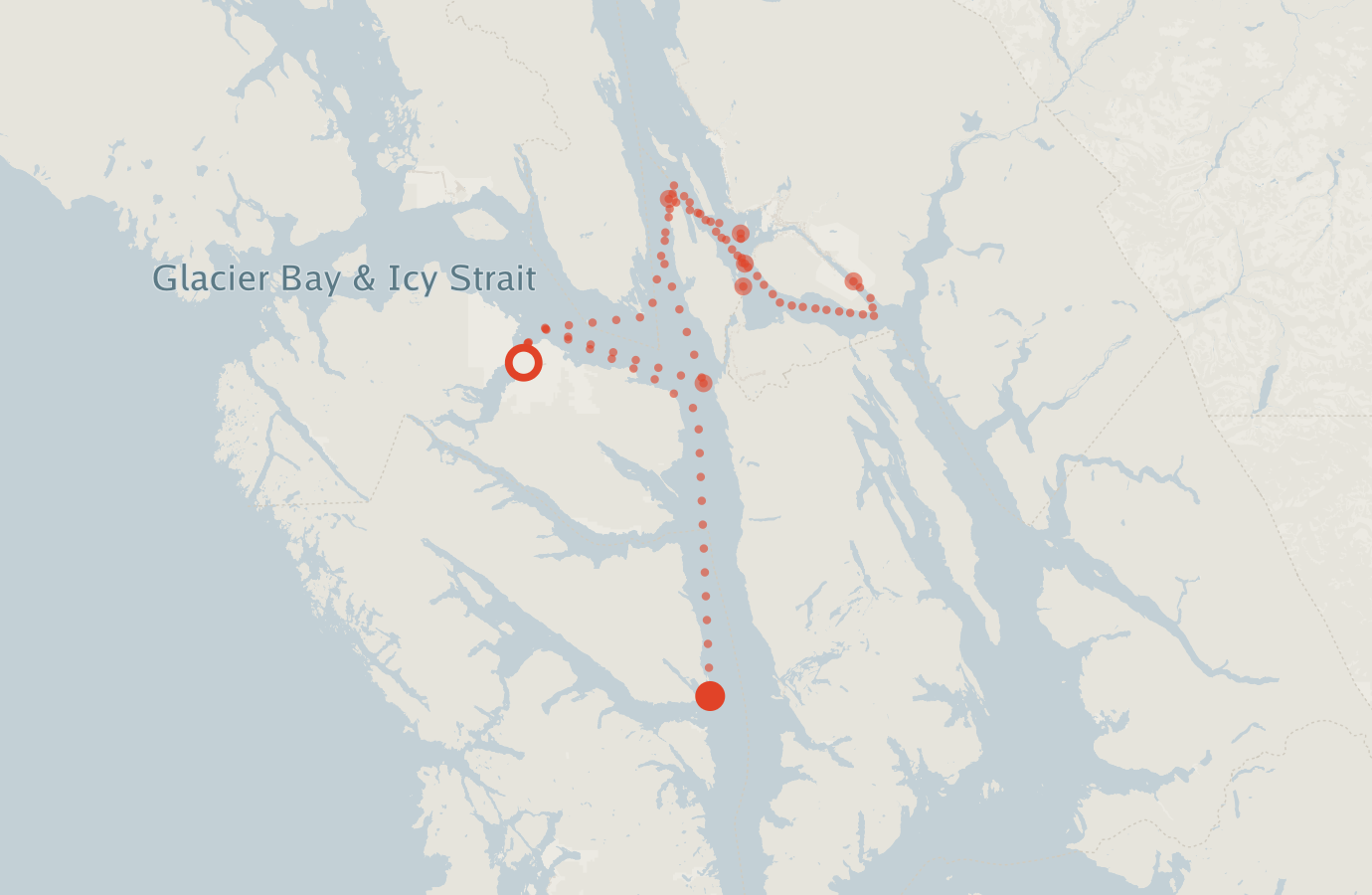 Activity map — real sighting points on an OpenStreetMap basemap