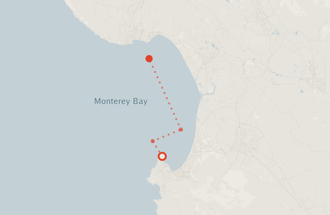 Activity map — real sighting points on an OpenStreetMap basemap