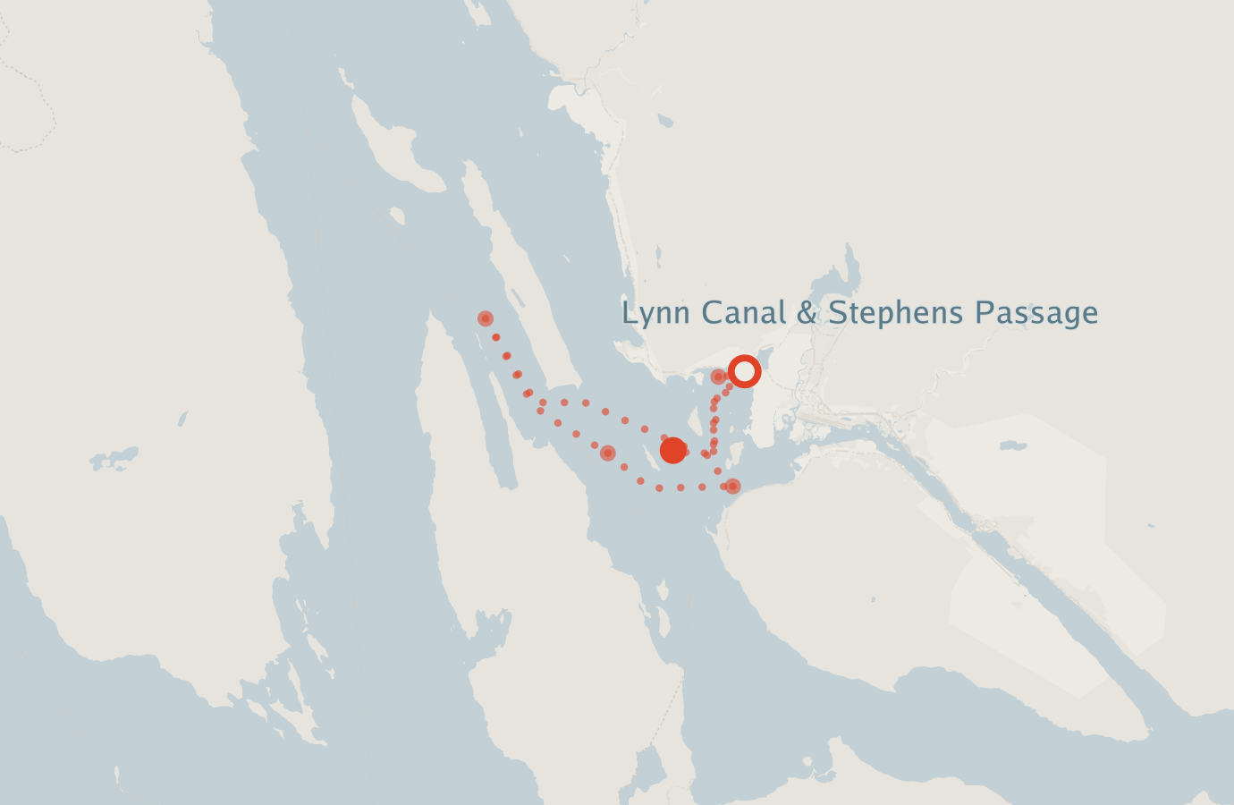 Activity map — real sighting points on an OpenStreetMap basemap