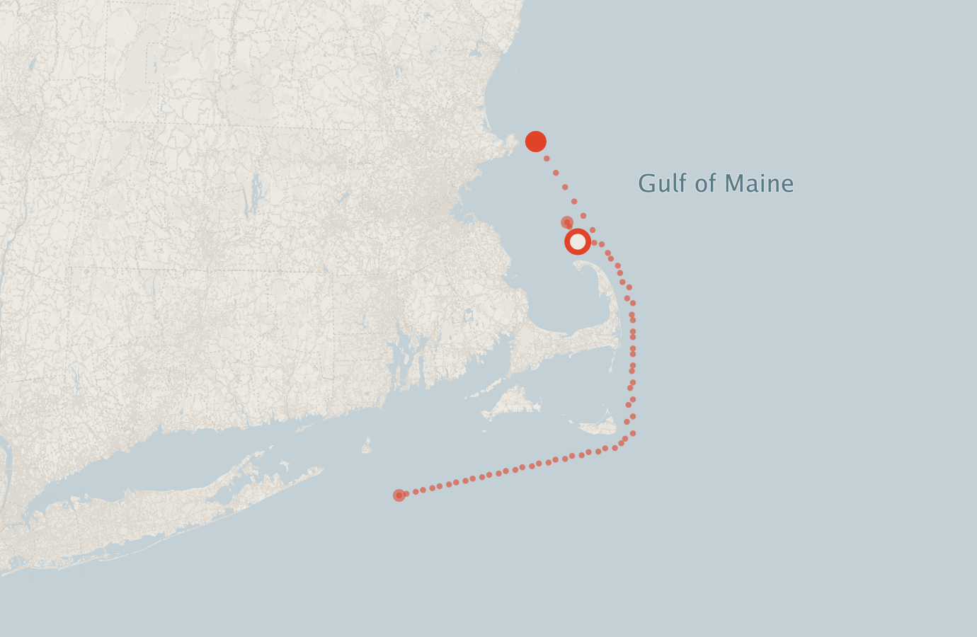 Activity map — real sighting points on an OpenStreetMap basemap