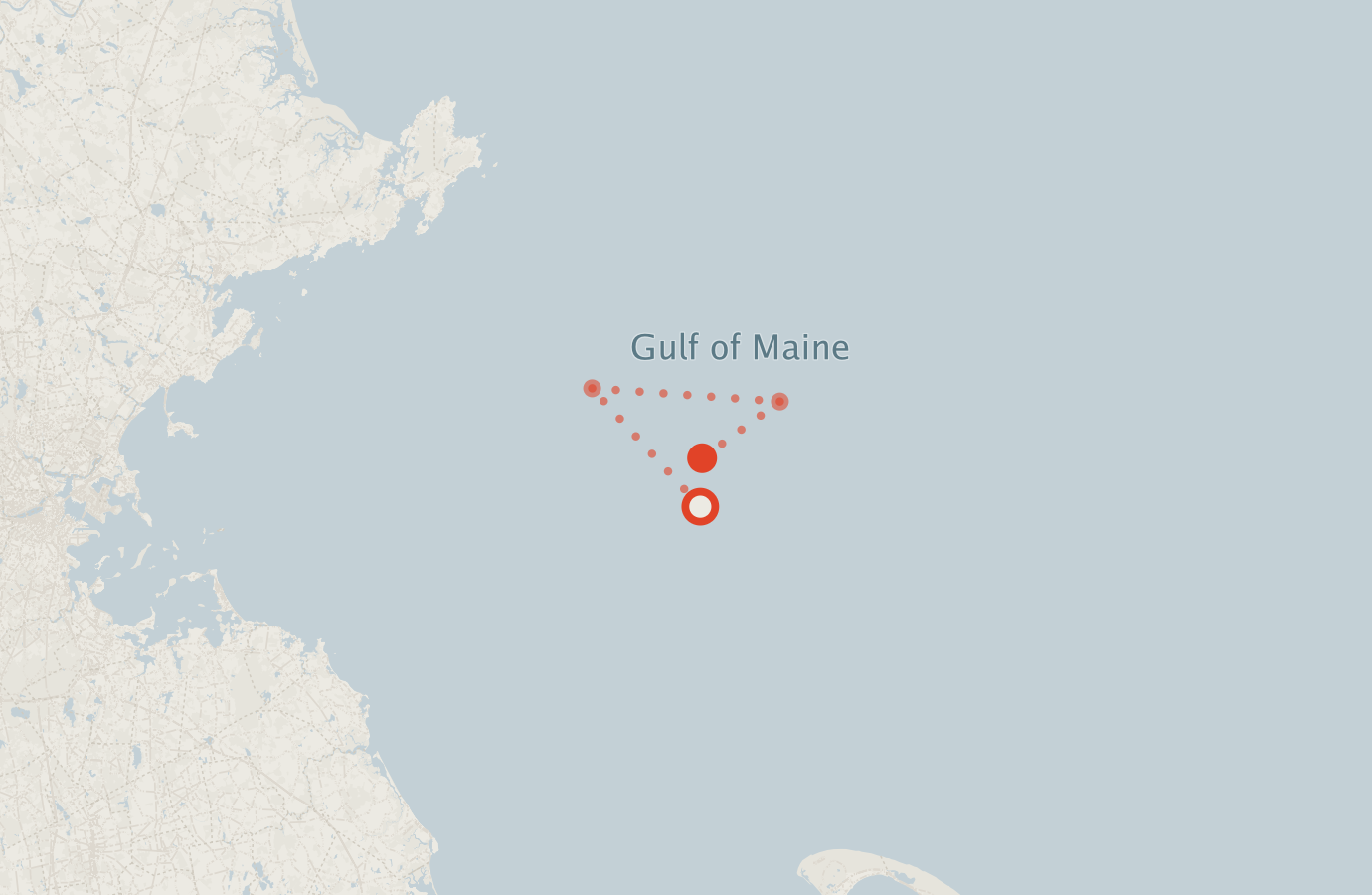 Activity map — real sighting points on an OpenStreetMap basemap