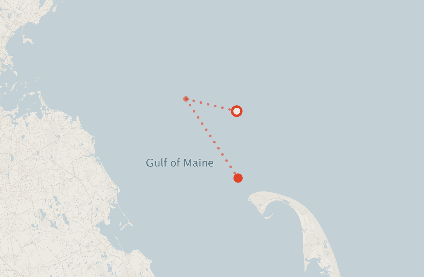 Activity map — real sighting points on an OpenStreetMap basemap