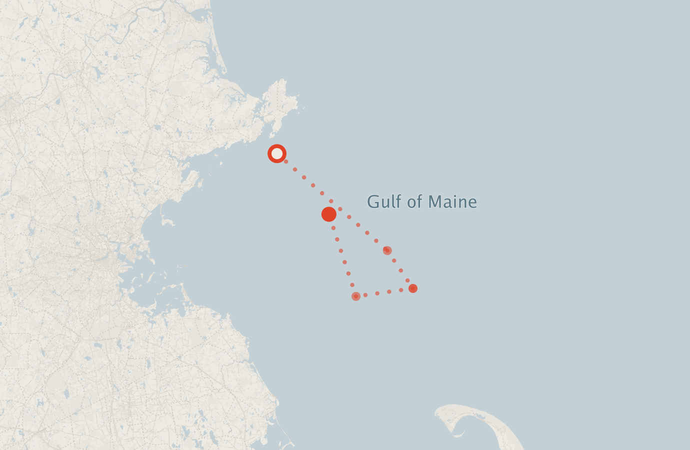 Activity map — real sighting points on an OpenStreetMap basemap