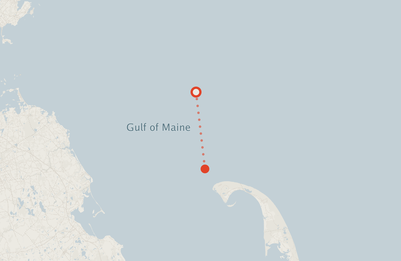 Activity map — real sighting points on an OpenStreetMap basemap