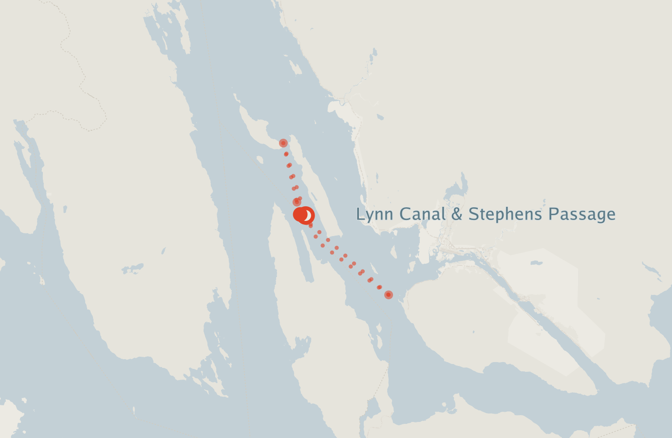 Activity map — real sighting points on an OpenStreetMap basemap