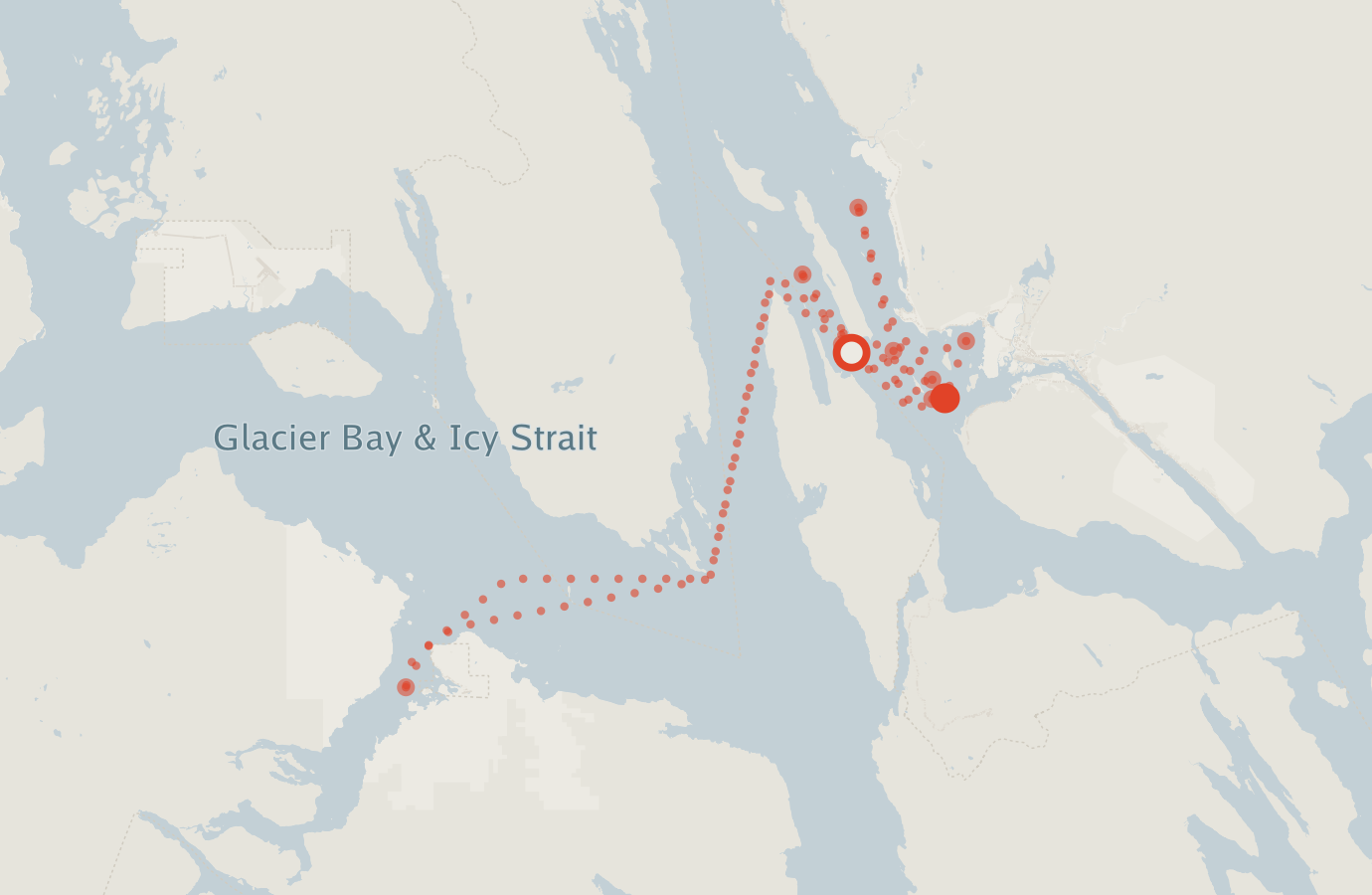 Activity map — real sighting points on an OpenStreetMap basemap