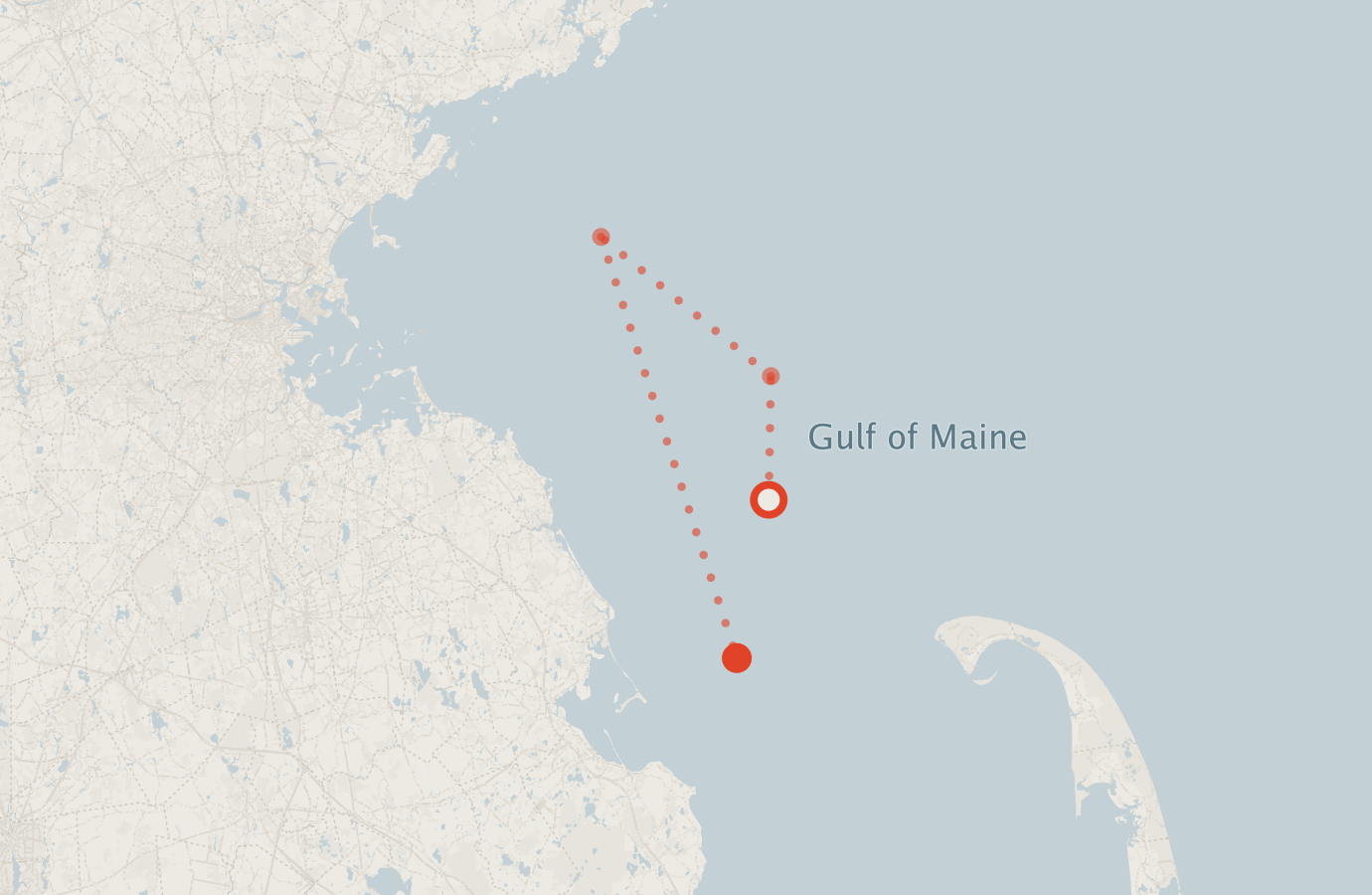 Activity map — real sighting points on an OpenStreetMap basemap