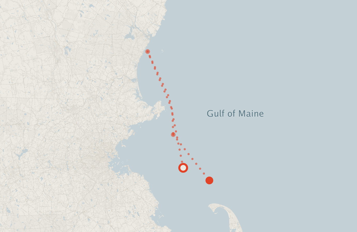 Activity map — real sighting points on an OpenStreetMap basemap