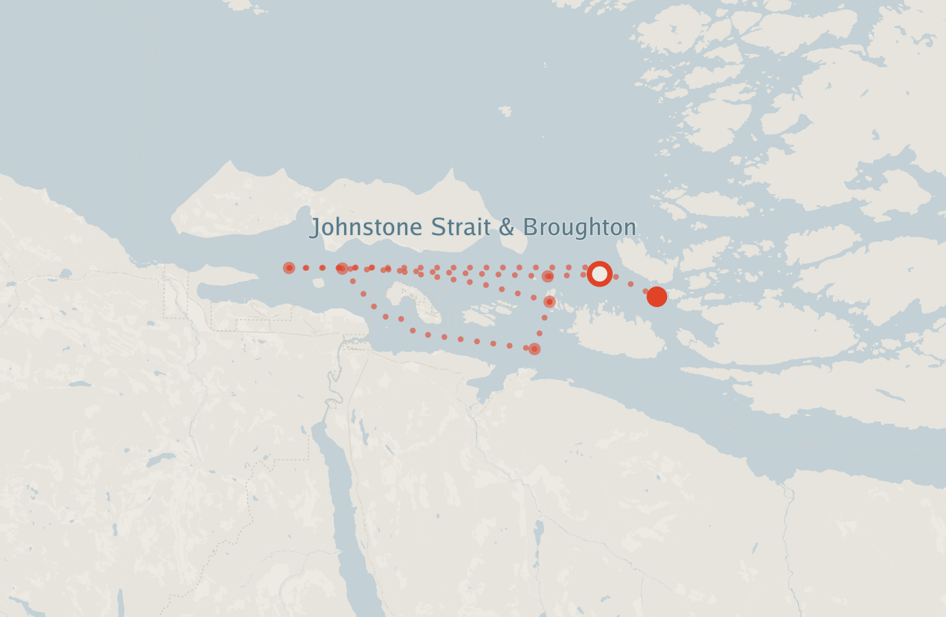 Activity map — real sighting points on an OpenStreetMap basemap