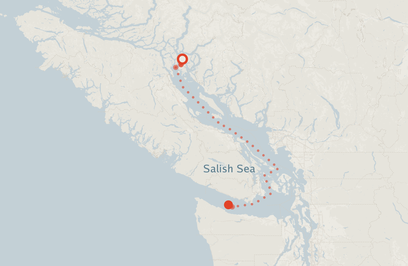 Activity map — real sighting points on an OpenStreetMap basemap