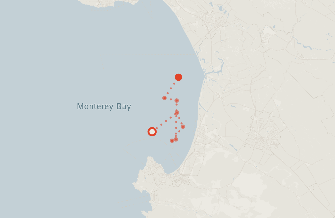 Activity map — real sighting points on an OpenStreetMap basemap
