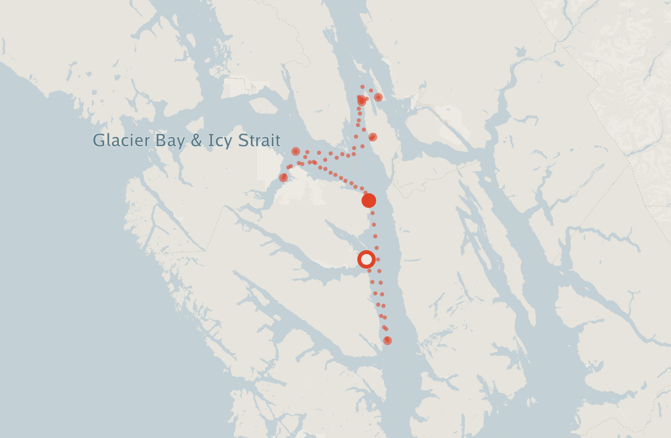 Activity map — real sighting points on an OpenStreetMap basemap