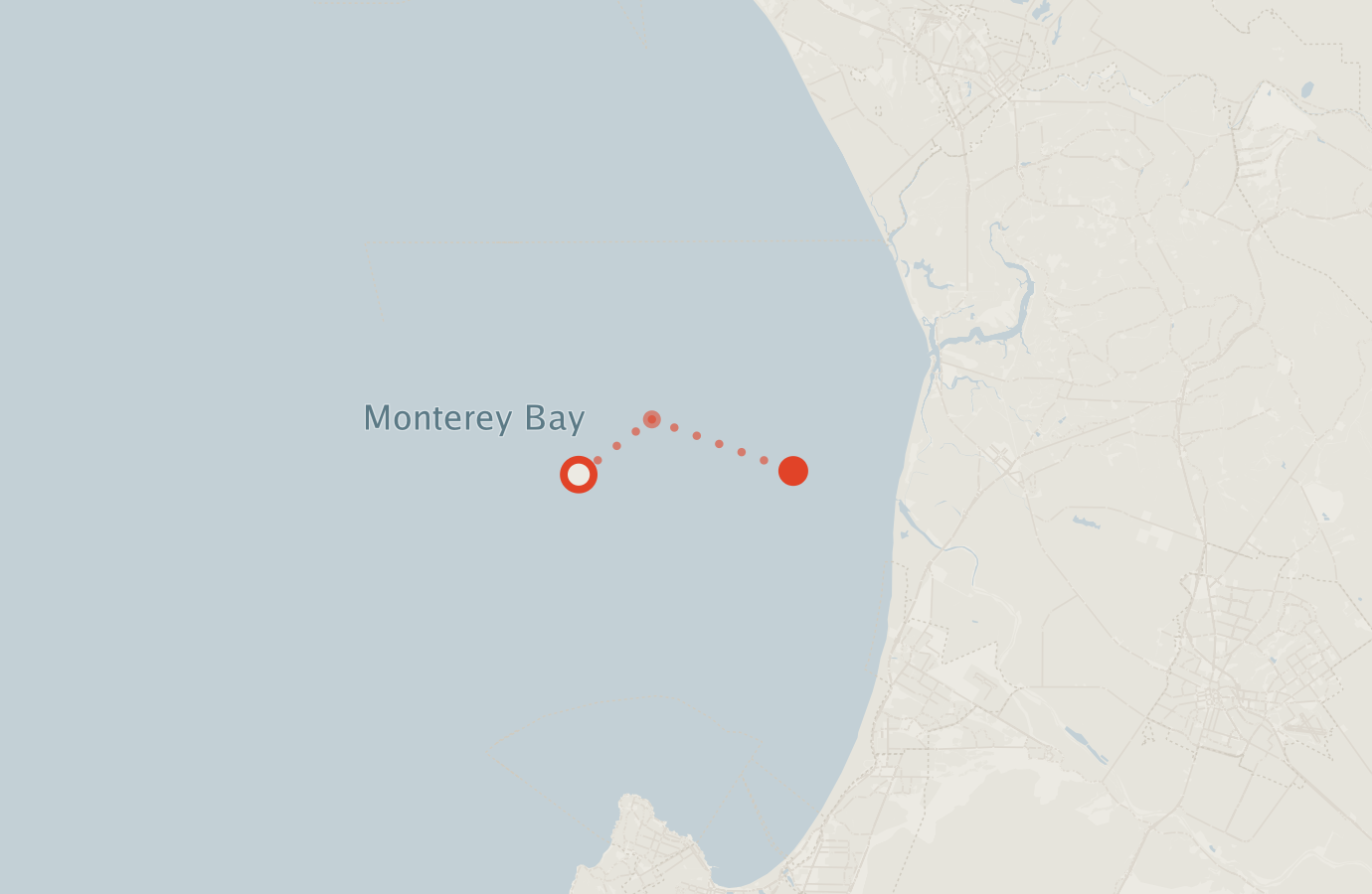 Activity map — real sighting points on an OpenStreetMap basemap