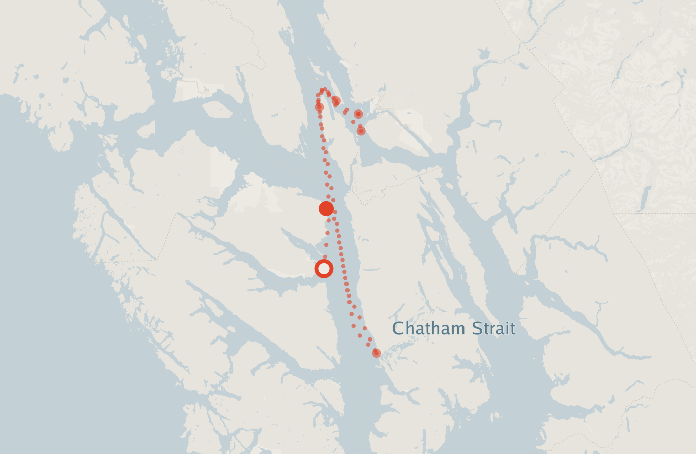 Activity map — real sighting points on an OpenStreetMap basemap