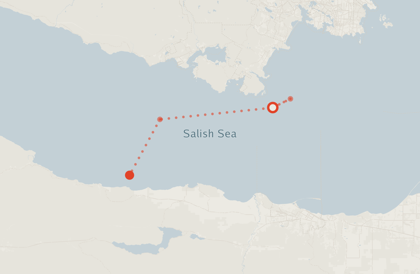 Activity map — real sighting points on an OpenStreetMap basemap