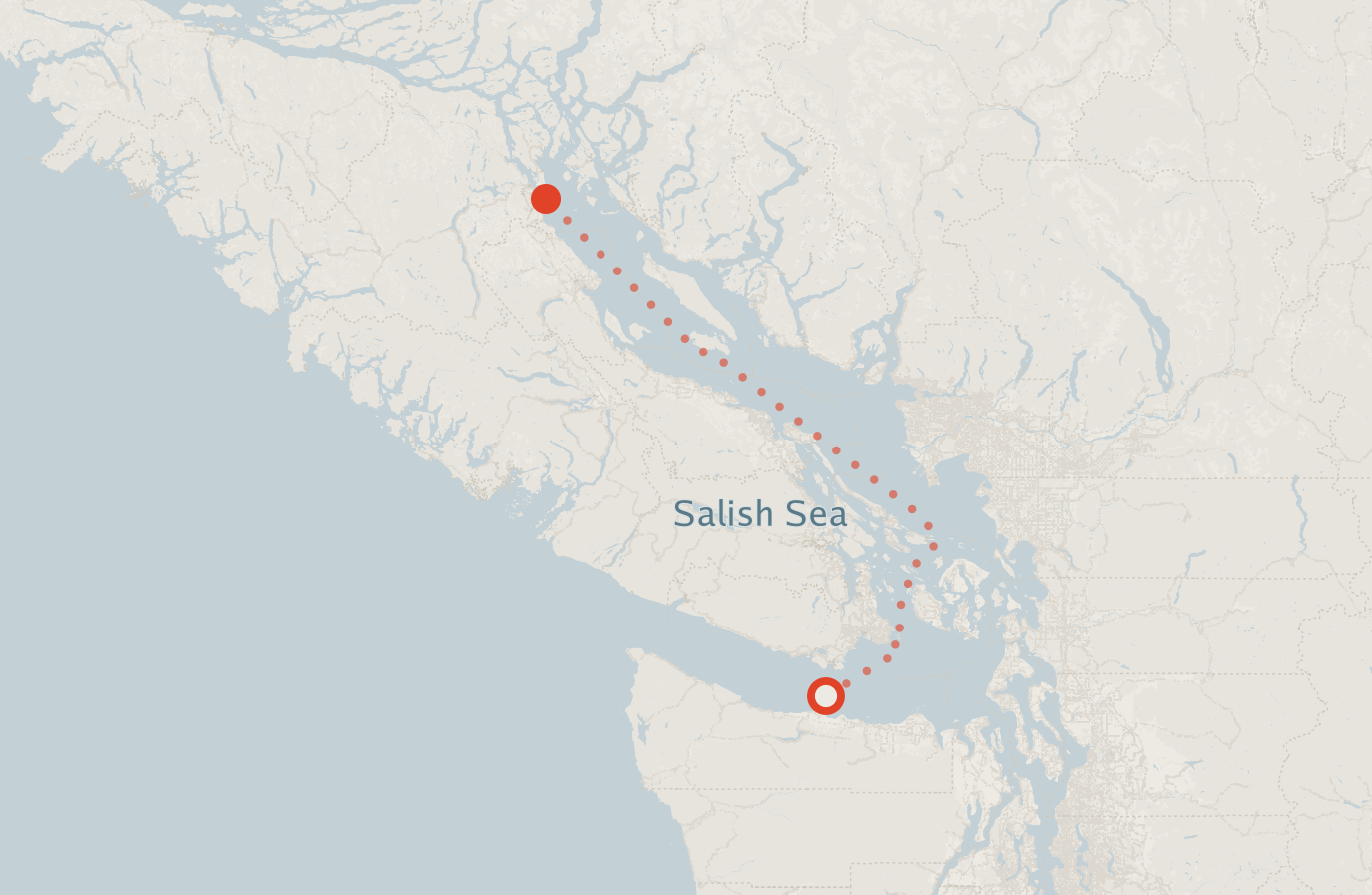 Activity map — real sighting points on an OpenStreetMap basemap