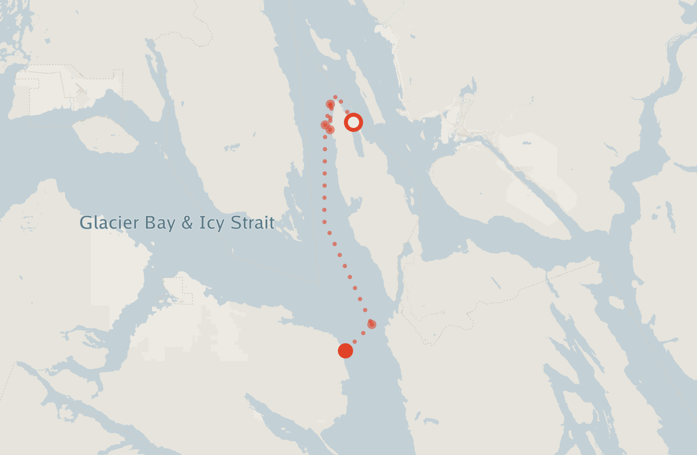 Activity map — real sighting points on an OpenStreetMap basemap