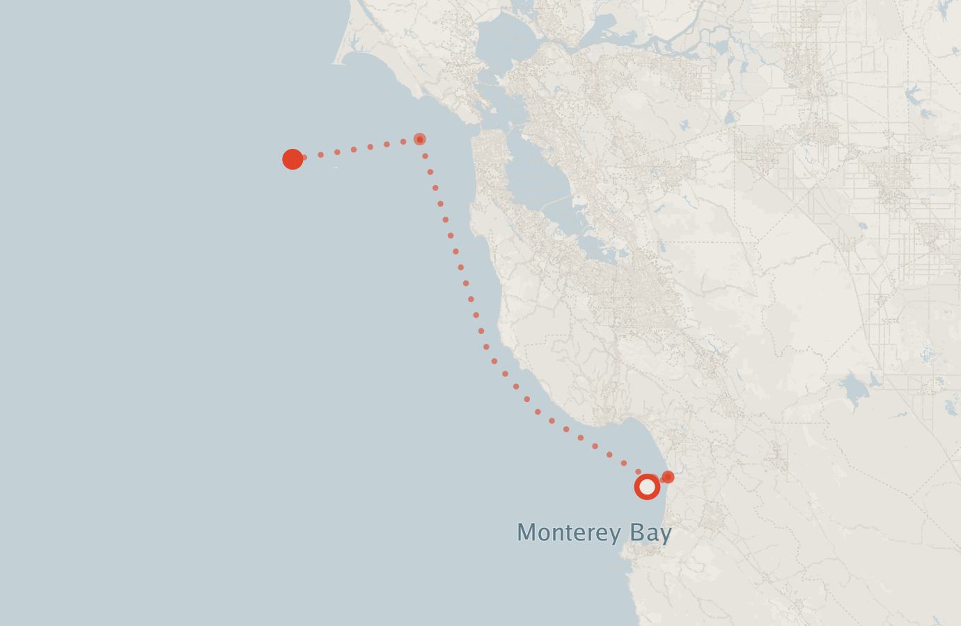 Activity map — real sighting points on an OpenStreetMap basemap