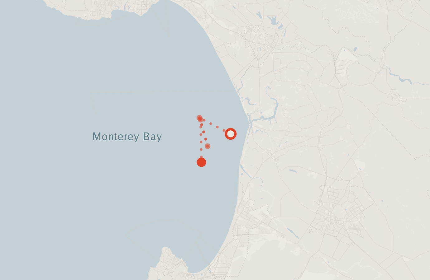 Activity map — real sighting points on an OpenStreetMap basemap