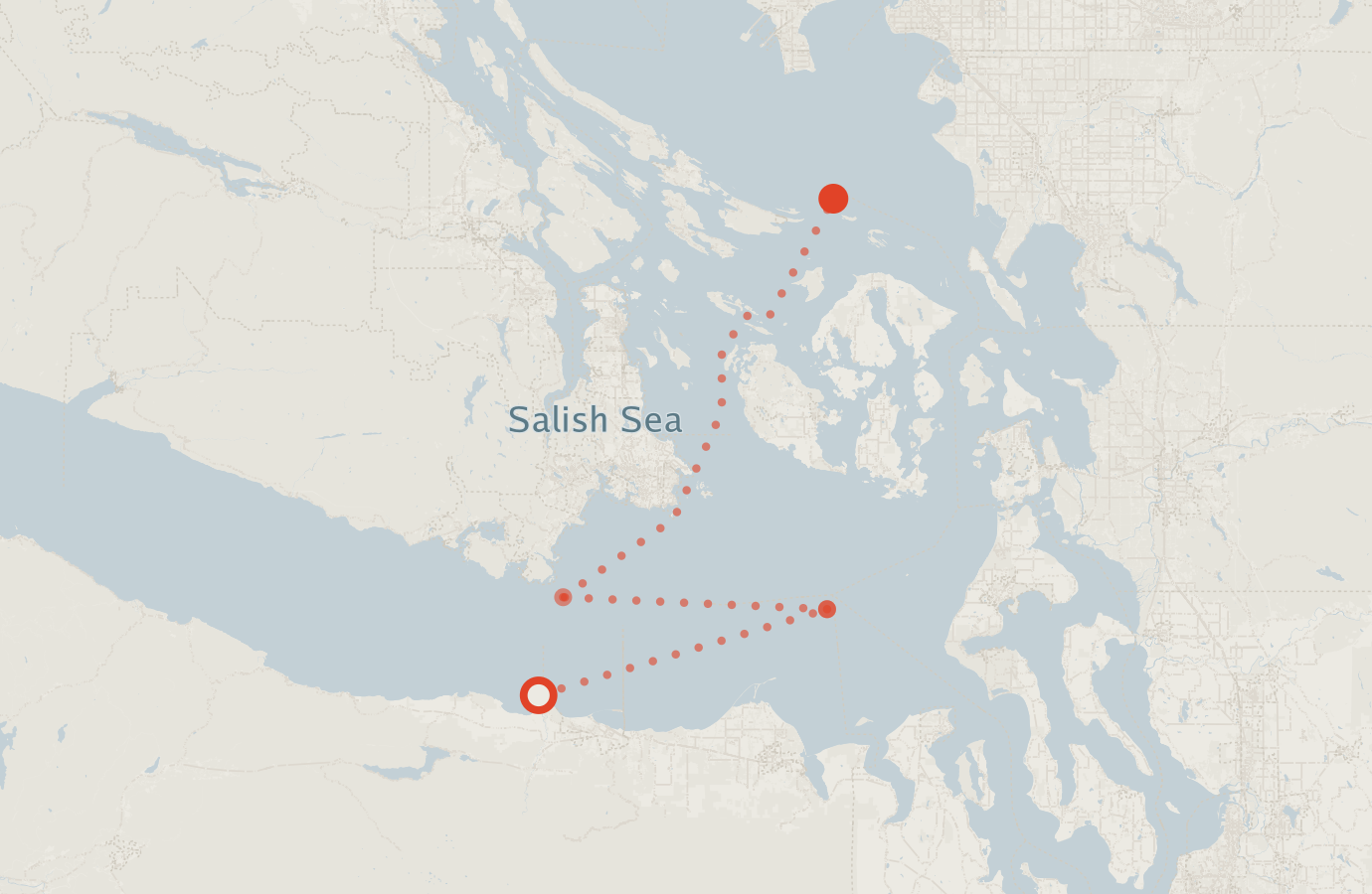 Activity map — real sighting points on an OpenStreetMap basemap