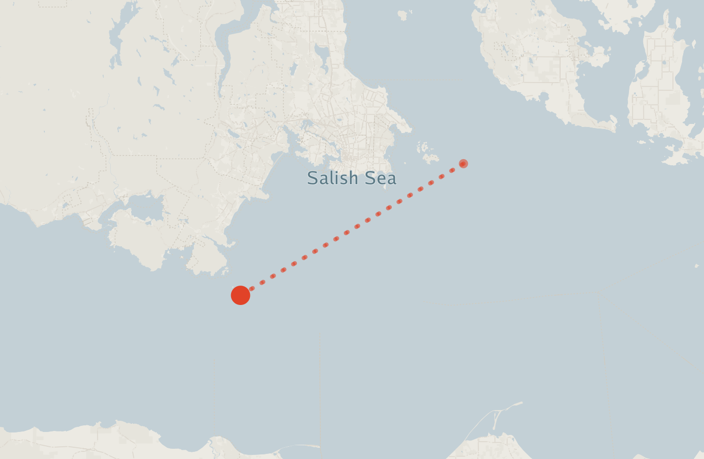 Activity map — real sighting points on an OpenStreetMap basemap