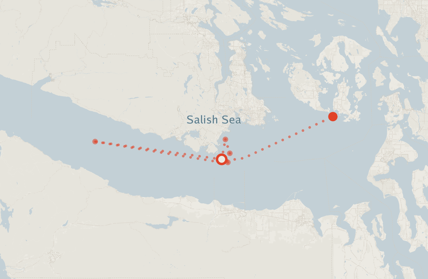 Activity map — real sighting points on an OpenStreetMap basemap