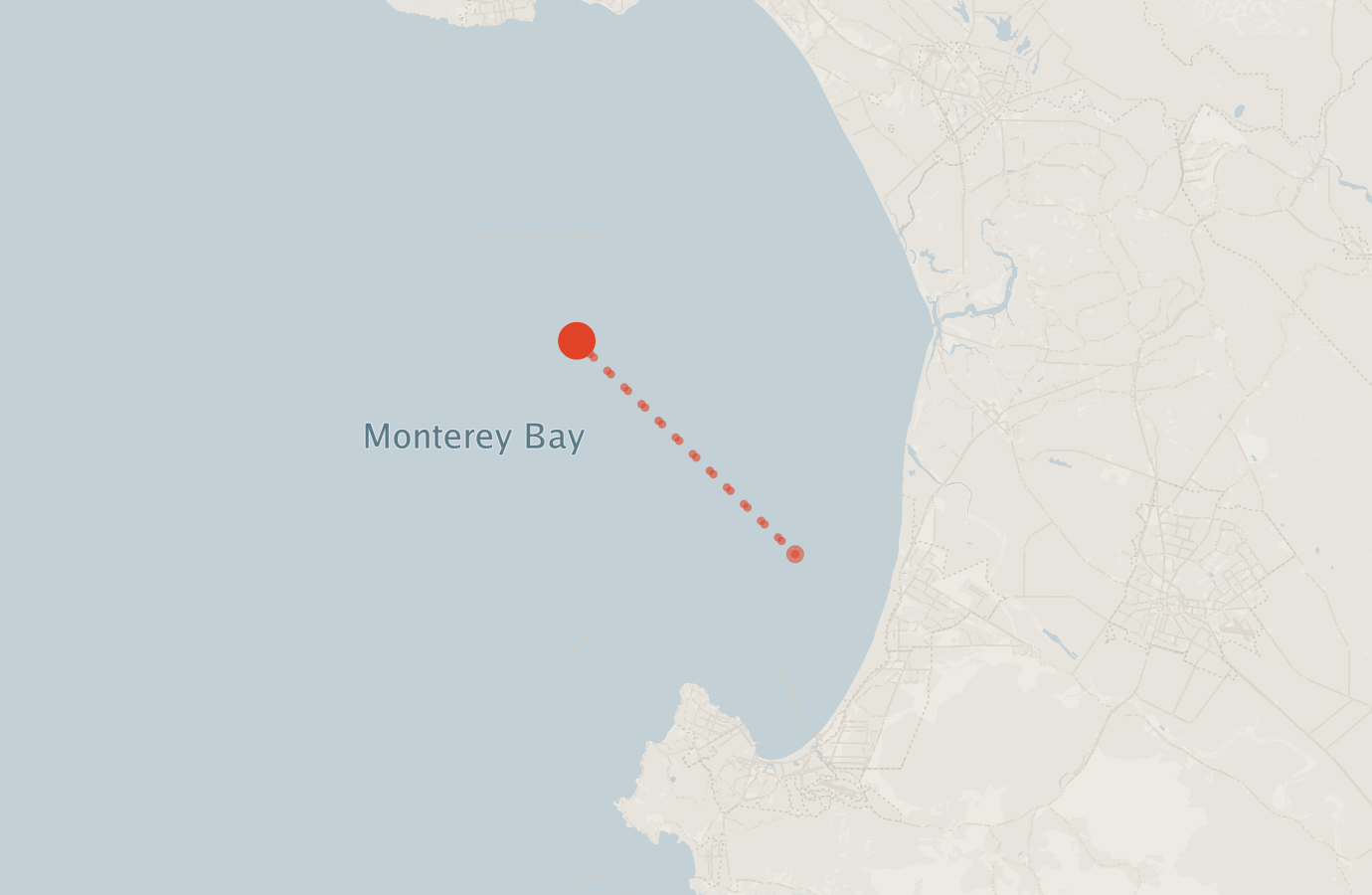 Activity map — real sighting points on an OpenStreetMap basemap