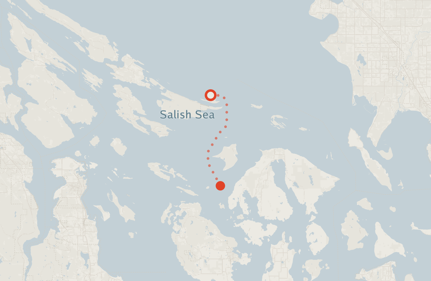 Activity map — real sighting points on an OpenStreetMap basemap