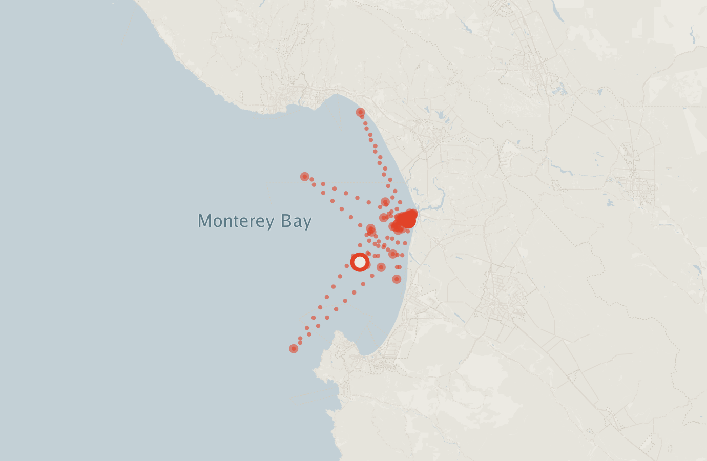 Activity map — real sighting points on an OpenStreetMap basemap