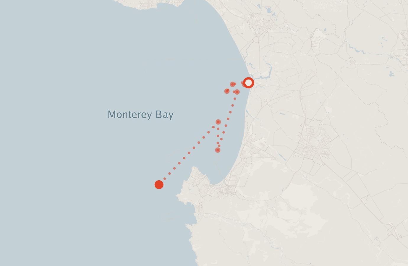 Activity map — real sighting points on an OpenStreetMap basemap