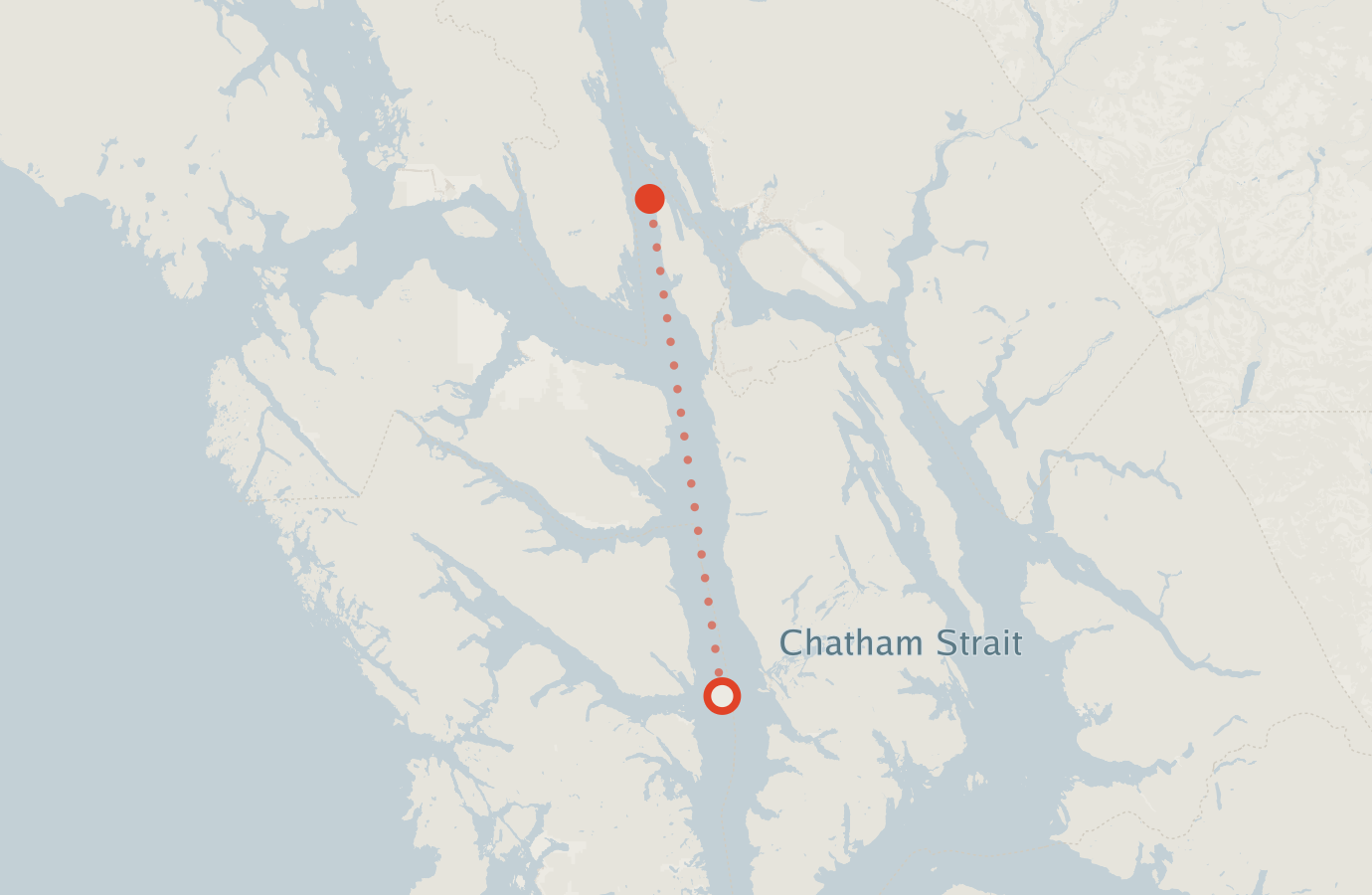Activity map — real sighting points on an OpenStreetMap basemap
