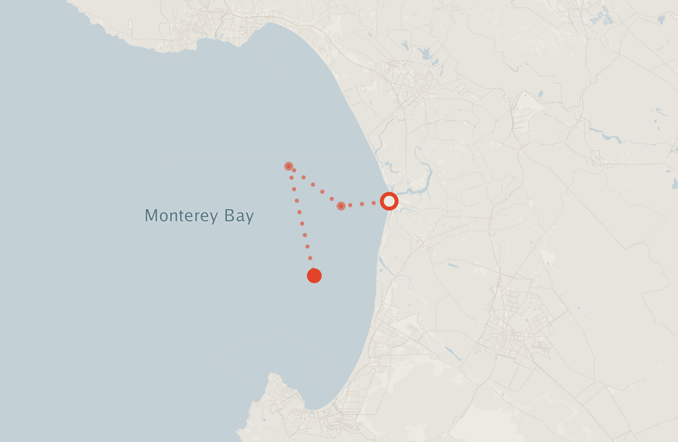Activity map — real sighting points on an OpenStreetMap basemap