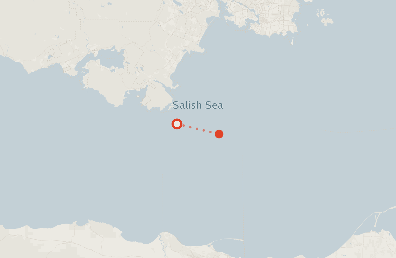 Activity map — real sighting points on an OpenStreetMap basemap