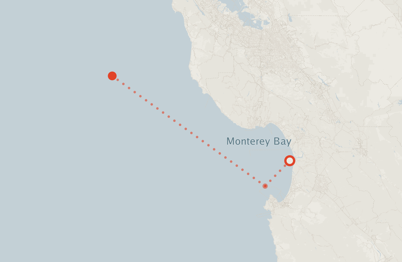 Activity map — real sighting points on an OpenStreetMap basemap