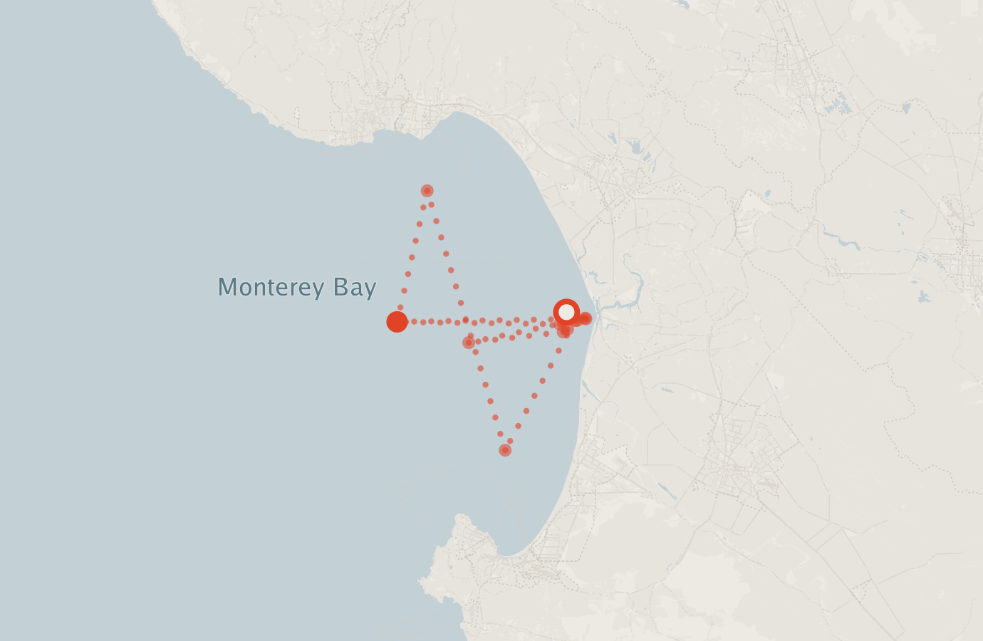 Activity map — real sighting points on an OpenStreetMap basemap