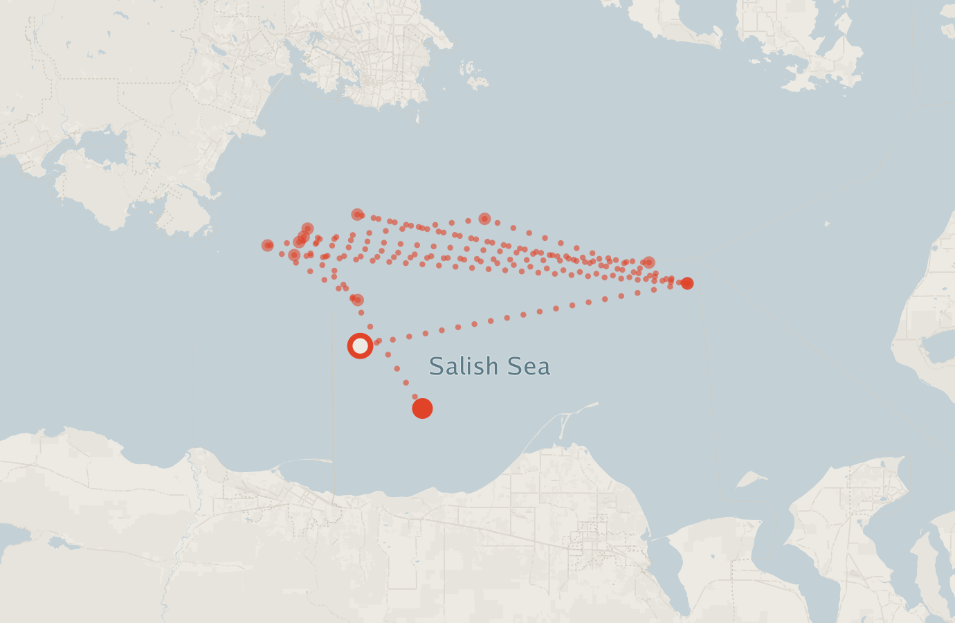 Activity map — real sighting points on an OpenStreetMap basemap